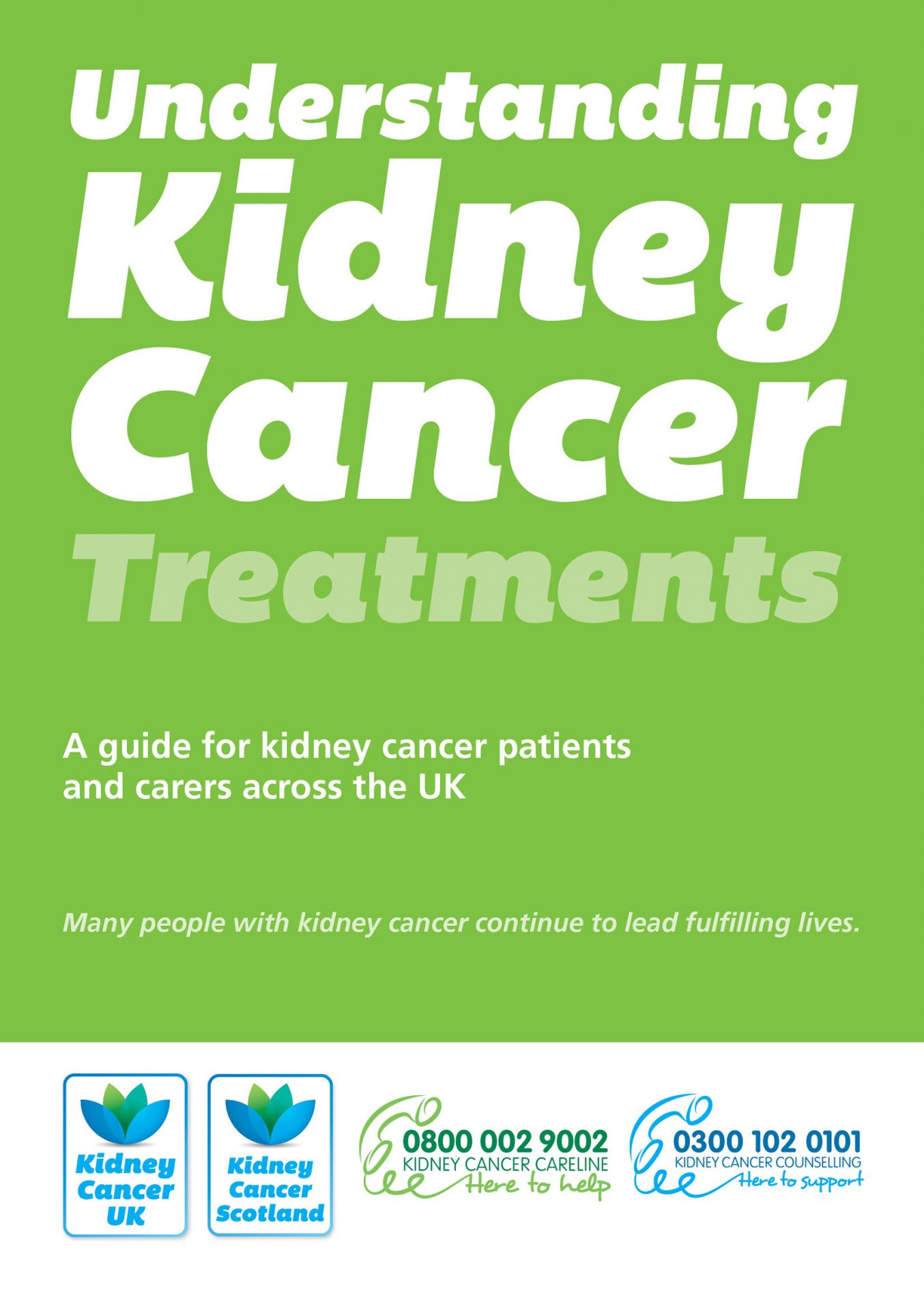 Understanding Kidney Cancer Treatments Kidney Cancer UK