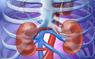 I’ve got a solitary kidney, but do I have CKD?