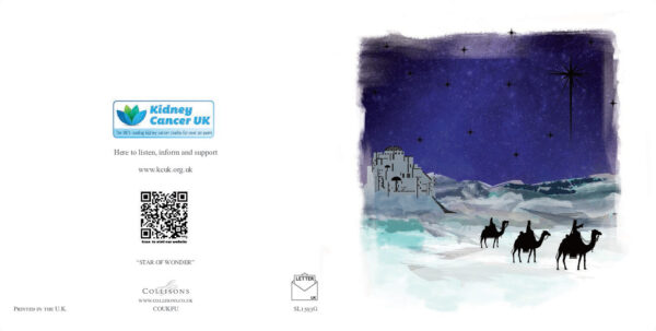 Star of Wonder Christmas Cards - Image 3