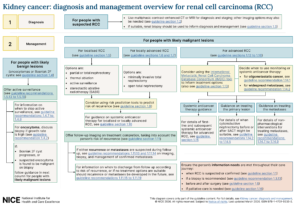 NICE Schematic diagnosis-and-management-of-renal-cell-carcinoma-overview-of-the-guideline-pdf-15660839341